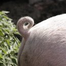 새한농장 이미지