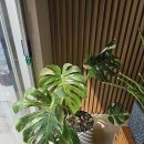 전유전만년설한의원 이미지