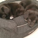 깍고밀고이발 이미지