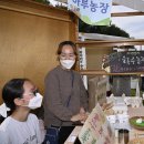 양강섬예술축제 아시아일보