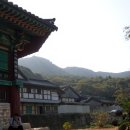 고아름