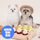 아담펫 | 네이버 펫 바우처 혜택으로 바잇미 노즈워크 구매 후기