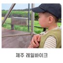 이바이크 | 제주도 동쪽 아이랑 가볼만한 곳ㅣ18개월 아이와 함께 즐기는 '제주레일바이크'
