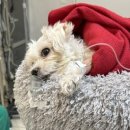 애니컴 메디컬센터 이미지