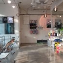 웰컴댕댕 이미지