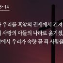 12. 골로새서(Colossians) 김용신 아나운서 이미지