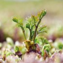 광신농장 이미지