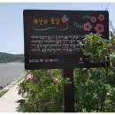 모도부근