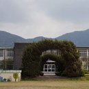 장곡초 홍성신문