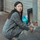 김연교 카카오 검색결과