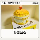 해림초등학교 | 부산 과일 케이크 맛집 해운대케이크 달콤부엌