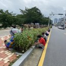 금왕읍 노인회분회 충청탑뉴스