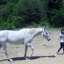 속사초등학교 이미지