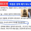 선업보시