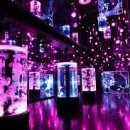 아쿠아 파크 이미지