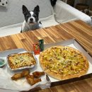 피자빙고형곡점 이미지