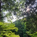 구봉산 치유숲길 입구 이미지