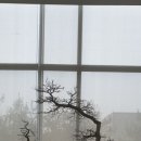 빛고을고등학교 이미지