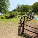 밀양아리랑대공원 화장실 | 밀양아리랑 대공원 야외 놀이터 피크닉