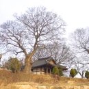 영산중학교 | 영산강 절경 무안 식영정(息營亭)(3)