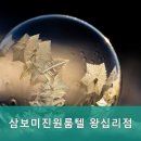 삼보원룸텔 이미지