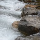 대촌관광농원 이미지