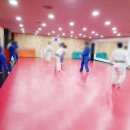 드림유도체육관 이미지