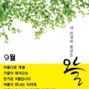 내인생의봄날
