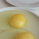 수란농장 이미지