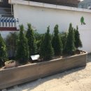 골목가든 이미지