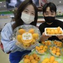 황금과일 이미지