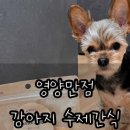 벨라스키친 이미지