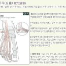 구허혈 정확한 위치 알려주세요 이미지