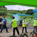 허정구 농장 네이버블로그