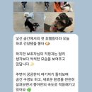 놀러오개 불로점 네이버블로그