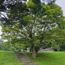 김좌진장군묘역 화장실 | [문화유산_135] 청산리대첩 영웅 초라한 김좌진장군묘_1005