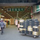 상생과 공존 이미지