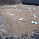 개토농장 이미지