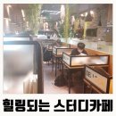 셀독24시스터디카페 이미지