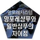 레'일랑일랑by제이엔 | 김해 레'일랑일랑 삼계점