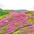 (유)호남관광여행사 이미지