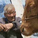 묵화랑 Daum카페