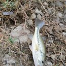 청도천3 이미지