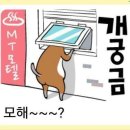 모해
