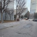 주공5단지㉵ | [분당 미금 하얀주공5단지] 수도권 신혼부부 임장 솔직 후기