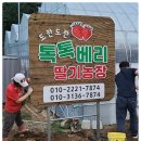 할렐루야농장 이미지