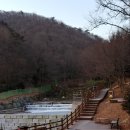 제암산자연휴양림 더늠길 이미지