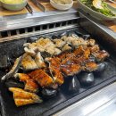 닭나라 정 이미지