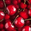 체리 이미지