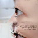 더래쉬 디자인스튜디오